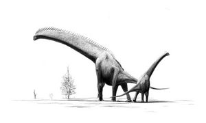 腕龍，一種巨型蜥腳下目恐龍