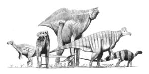 不同的鳥腳下目恐龍左後：彎龍、左：禽龍、中後：山東龍、中前：橡樹龍、右：冠龍、右後(小)：畸齒龍、右後(大)：腱龍