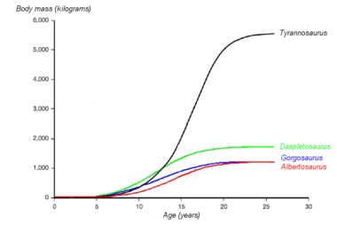 四個暴龍科恐龍的推測生長曲線（體重與年齡比例）。分別為暴龍(黑)、懼龍(綠)、蛇髮女怪龍(藍)、艾伯塔龍(紅)。此圖表根據埃里克森等人的2004年研究