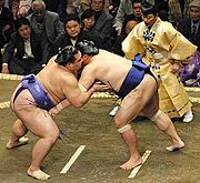 日本的「國技」相撲